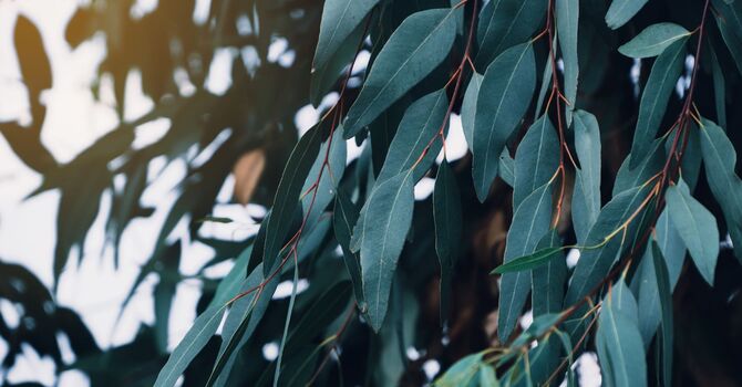 Morpheus8 Resurfacing